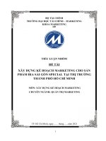 Tiểu luận xây dựng kế hoạch marketing cho bia Sài Gòn Special