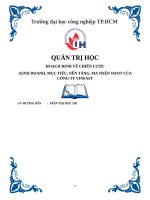 Hoạch định chiến lược và mục tiêu kinh doanh của công ty vinfast