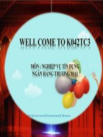 Thuyết trình về: PHÂN TÍCH báo cáo tài CHÍNH CÔNG TY THÉP việt ý