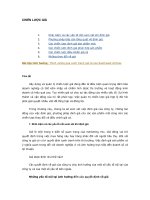 Luận văn tốt nghiệp chiến lược về giá cả bài tập tình huống thịnh vượng qua cạnh tranh giá cả của southwest airlines 