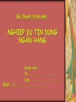 Thuyết trình về:  phân tích báo cáo tài chính tại doanh nghiệp tư doanh duy linh