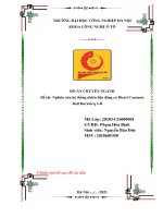 Đề tài  nghiên cứu hệ thống nhiên liệu động cơ diesel common rail duratorq 2 4l 