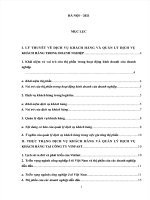 Hãy phân tích dịch vụ khách hàng và quản lý dịch vụ khách hàng gia tăng thị phần ô tô của vinfast