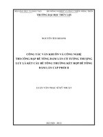 Luận văn công tác ván khuôn và công nghệ thi công đập bê tông đầm lăn có tường thượng lưu là kết cấu bê tông thường kết hợp bê tông đầm lăn cấp phối ii 