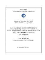 PHÂN TÍCH CHIẾN LƯỢC HOẠT ĐỘNG TRUYỀN THÔNG CỦA SẢN PHẨM GIÀY THỂ THEO BITI''''S HUNTER THUỘC CÔNG TY TNHH BÌNH TIÊN (BITI''''S) TẠI THỊ TRƯỜNG VIỆT NAM
