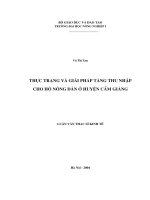 Luận văn tốt nghiệp thực trạng và giải pháp tăng thu nhập cho hộ nông dân ở huyện cẩm giàng 