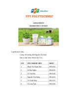 Tiểu luận marketing căn bản chính sách marketing của TH TRUEMILK