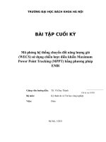 Mô phỏng hệ thống chuyển đổi năng lượng gió (WECS) sử dụng chiến lược điều khiển maximum power point tracking (MPPT) bằng phương pháp EMR