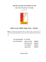 Đề tài  vận dụng quan điểm thự tiễn của triết học mác  lê nin để xem xét vấn đề lựa chọn ngành nghề của sinh viên đại học bách khoa hà nội hiện nay 