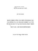 Hoàn thiện công tác phân tích báo cáo tài chính của các doanh nghiệp vay vốn tín dụng đầu tư tại ngân hàng phát triển việt nam   chi nhánh bình định 