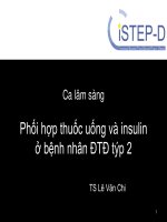4  VN ADV type2 insulin OADs casestudy dr  le van chi (revised) 