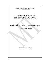 Học phần: THỊ TRƯỜNG LAO ĐỘNG. Đề tài: PHÂN TÍCH CUNG LAO ĐỘNG TẠI TỈNH PHÚ THỌ