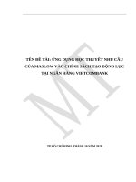 ỨNG DỤNG HỌC THUYẾT NHU CẦU CỦA MASLOW VÀO CHÍNH SÁCH TẠO ĐỘNG LỰC TẠI NGÂN HÀNG VIETCOMBANK