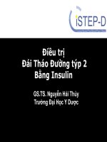 7  VN ADV casestudy insulin therapy for type 2 prof  nguyen hai thuy 
