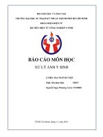 BÁO CÁO CUỐI KÌ MÔN XỬ LÝ ẢNH Y SINH