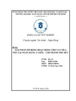 Giải pháp mở rộng hoạt động cho vay mua nhà tại ngân hàng á châu   chi nhánh thủ đức 