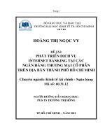 Tài liệu phát triển dịch vụ internet banking tại các ngân hàng thương mại cổ phần trên địa bàn TPHCM