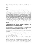 So sánh luật hôn nhân gia đình việt nam và luật hôn nhân gia đình mỹ  