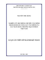 Nghiên cứu hệ thống chỉ tiêu tài chính nhằm đánh giá năng lực tài chính của các ngân hàng thương mại cổ phần việt nam