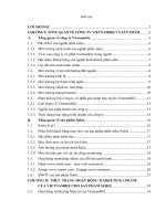 Hoàn thiện hoạt động marketing online cho sản phẩm Subiz của công ty cổ phần giải pháp trực tuyến VietnamBIZ