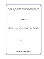 Các yếu tố ảnh hưởng đến hiệu quả tài chính của các ngân hàng thương mại việt nam  luận văn thạc sĩ tài chính ngân hàng  lê phú dân nguyễn ngọc thạch người hướng dẫn khoa học 