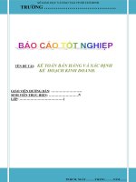 báo cáo tốt nghiệp:  kế toán bán hàng và xác định kế  hoạch kinh doanh tại công ty tnhh an việt