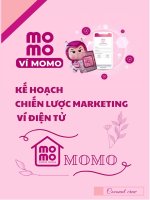 CHIẾN lược MARKETING ví điện tử MOMO
