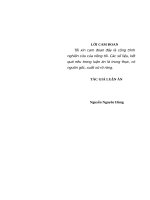 Luận án tiến sĩ nâng cao chất lượng đội ngũ cán bộ chủ chốt cấp huyện ở thành phố hà nội hiện nay 