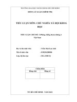 TIỂU LUẬN CHỦ NGHĨA XÃ HỘI KHOA HỌC ĐỀ TÀI Phòng chống tham nhũng Việt Nam