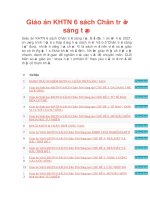 Giáo án KHTN 6 sách chân trời sáng tạo 