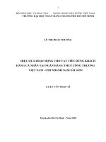 Hiệu quả hoạt động cho vay tiêu dùng khách hàng cá nhân tại ngân hàng TMCP Công thương Việt Nam chi nhánh Nam Sài Gòn  Luận văn thạc sĩ tài chính ngân hàng