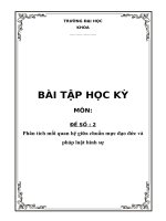 “Phân tích mối quan hệ giữa chuẩn mực đạo đức và pháp luật hình sự ”