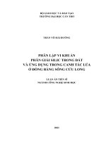 Luận án tiến sĩ phân lập vi khuẩn phân giải silic trong đất và ứng dụng trong canh tác lúa ở đồng bằng sông cửu long 