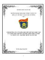 TIỂU LUẬN MÔN NĂNG LỰC THÔNG TIN ẢNH HƯỞNG CỦA VĂN HÓA ĐỌC ĐẾN KẾT QUẢ HỌC TẬP CỦA SINH VIÊN TRƯỜNG ĐẠI HỌC KHOA HỌC XÃ HỘI VÀ NHÂN VĂN – ĐẠI HỌC QUỐC GIA HÀ NỘI