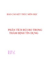 4  báo cáo kết thúc môn học: phân tích rủi ro thẩm định tín dụng