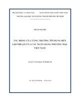 Tác động của tăng trưởng tín dụng đến lợi nhuận của các ngân hàng thương mại việt nam  luận văn thạc sĩ tài chính ngân hàng 