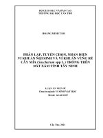 Luận án tiến sĩ phân lập, tuyển chọn, nhận diện vi khuẩn nội sinh và vi khuẩn vùng rễ cây mía (saccharum spp l ) 