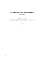 E commerce in united states agriculture