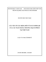 Các yếu tố tác động đến tỷ suất sinh lời của các ngân hàng thương mại cổ phần việt nam  luận văn thạc sĩ tài chính ngân hàng 
