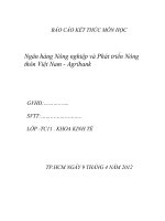 2  báo cáo kết thúc môn học: ngân hàng AGRIBANK