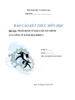 10  báo cáo kết thục môn học: phân tích báo cáo tài chính