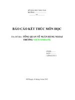 13  báo cáo kết thúc môn họ:c ngân hàng ngoại thương VIETCOMBANK