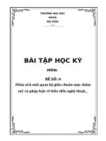 5  phân tích mối quan hệ giữa chuẩn mực thẩm mỹ và pháp luật về biểu diễn nghệ thuật