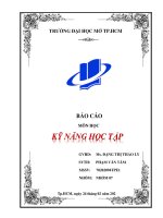 BÁO CÁO MÔN HỌC KỸ NĂNG HỌC TẬP