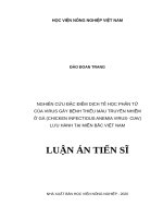 Nghiên cứu đặc điểm dịch tễ học phân tử của virus gây bệnh thiếu máu truyền nhiễm ở gà (chicken infectious anemia virus CIAV) lưu hành tại miền Bắc Việt Nam.