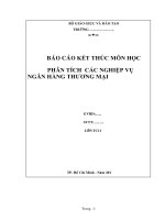 12 báo cáo kết thúc môn học: phân tích các nghiệp vụ ngân hàng