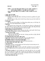 Giáo án theo định hướng phát triển năng lực học sinh môn Lịch sử lớp 10