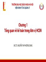 Bài giảng Kế toán công: Chương 1 - GVC.TS. Nguyễn Thị Phương Dung