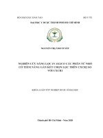 NGHIÊN cứu SÀNG lọc IN SILICO các PHÂN tử NHỎ có TIỀM NĂNG gắn kết CHỌN lọc TRÊN CXCR2 SO với CXCR1 