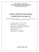 TRƯỜNG ĐẠI HỌC SƯ PHẠM KỸ THUẬT THÀNH PHỐ HỒ CHÍ MINH CHƯƠNG TRÌNH GIÁO DỤC ĐẠI HỌC NGÀNH THƯƠNG MẠI ĐIỆN TỬ
